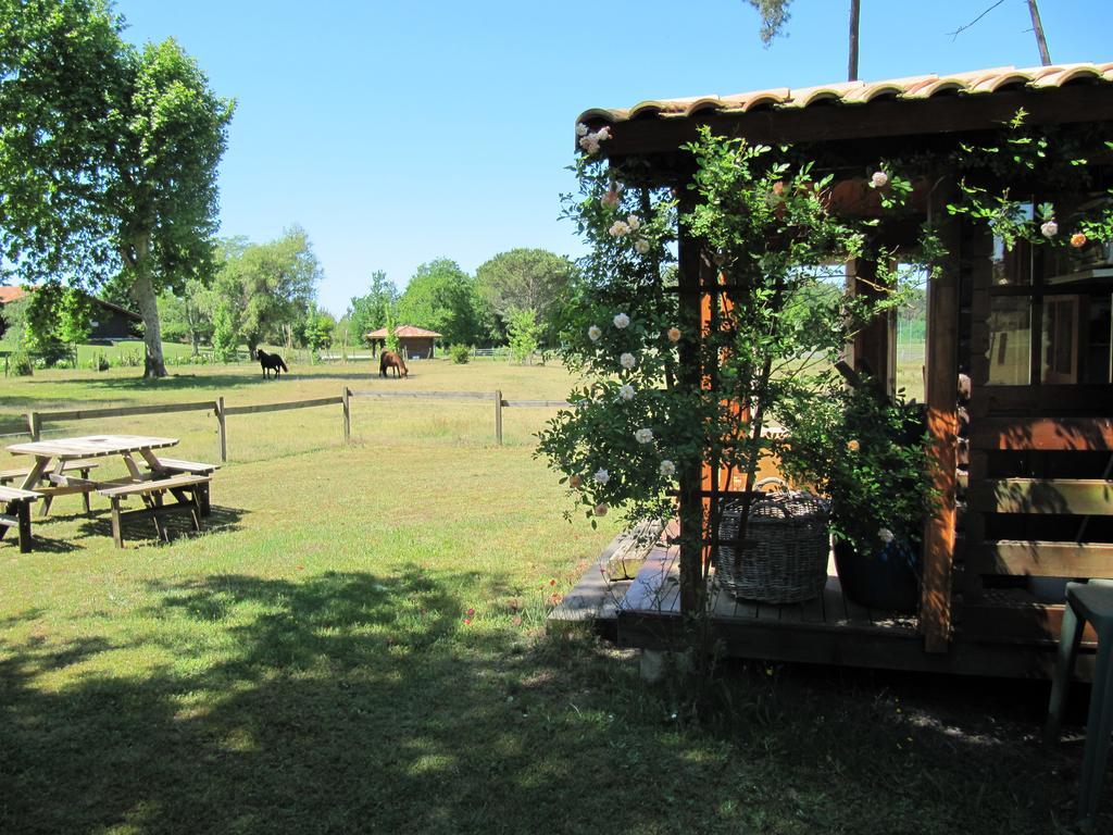 Sainte-Eulalie-en-Born Gite Foret Landaise מראה חיצוני תמונה