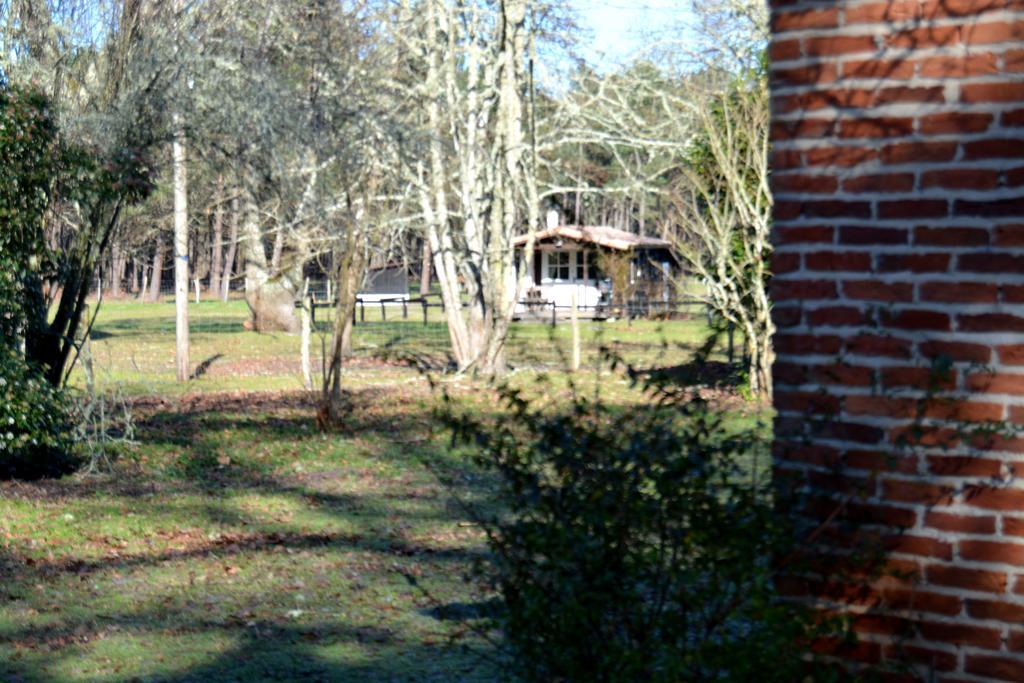 Sainte-Eulalie-en-Born Gite Foret Landaise מראה חיצוני תמונה